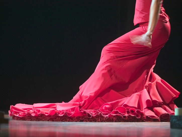 Flamenco Dancer