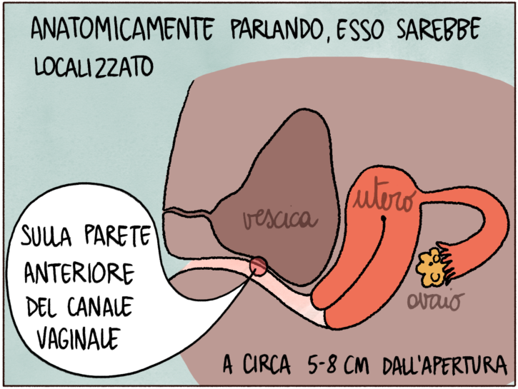 punto g