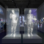 mostra 'The Beauty of imaging'