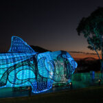 Vivid Sydney al Taronga Zoo