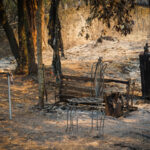 Sembra essere doloso l'incendio che sta devastando il Parco del Vesuvio