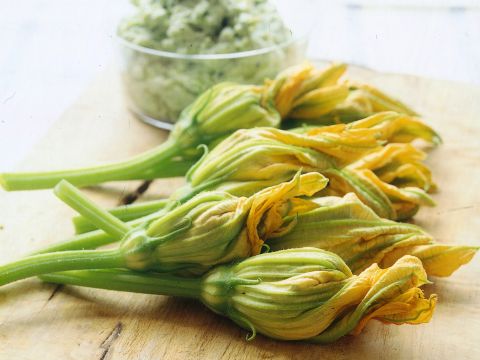 Fiori di zucca: proprietà, ricette e come pulirli