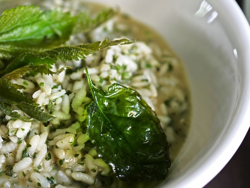 risotto-alle-erbe-di-campo