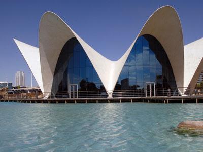 La magia di Valencia viene dal mare