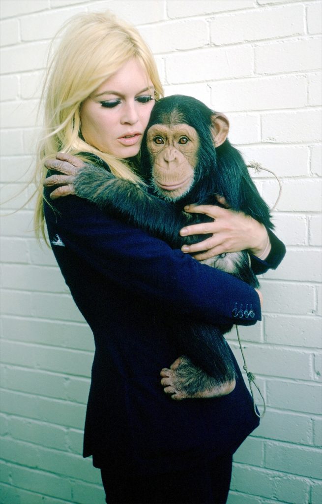 Brigitte Bardot