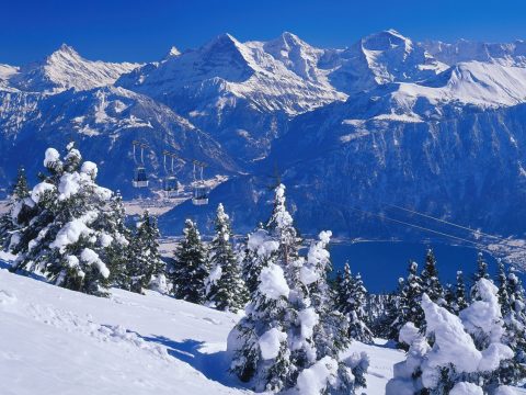 Qui c'è la neve più bella del mondo