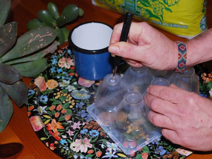 Come creare un piccolo giardino zen con materiale di riciclo - Donna Moderna