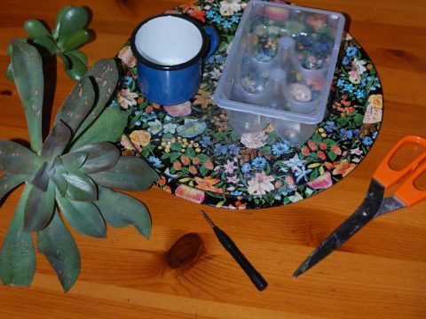 Crea un mini giardino zen (o un piccolo orto aromatico!) con materiale riciclato