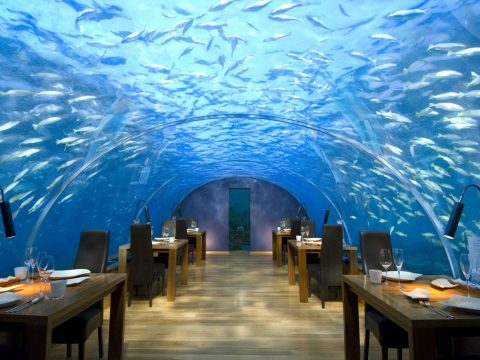 Fantastiche Maldive