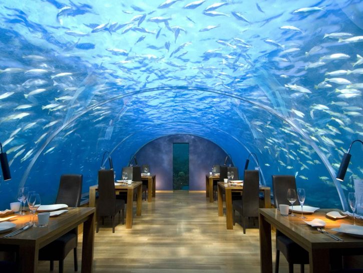 Fantastiche Maldive
