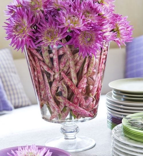 Colora la tua casa con i fiori