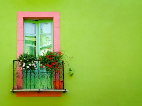 In casa o sul balcone? Ecco il posto giusto per ogni pianta