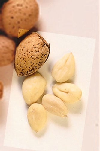<p> <b>Le mandorle</b><br /> Si mangiano, sgusciate e spellate, fresche o tostate come snack, ma anche in piatti dolci e salati.<br /> Quelle comunemente consumate sono dolci e morbide, ma esiste anche la varietà amara, che in piccole dosi, viene usata in pasticceria e nella preparazione di liquori.<br /> Quando si degustano, bisogna fare attenzione al profumo fruttato e apprezzare la croccantezza e il sapore che richiama il pane appena sfornato e spalmato di burro.<br /> Si sposano con formaggi teneri e saporiti, come il pecorino fresco, e con il miele millefiori. In cucina Si usano per marzapane, orzata e latte di mandorle; oppure, glassate o affumicate, come snack: Buonissime se tostate nel forno insieme a del sale grosso. <br /> Potete abbinarle rossi amabili o vini con aroma dolce, quali l'Uva di Troia e il Moscato di Trani.<br /> In Italia la varietà più pregiata di mandorle proviene dalla Sicilia; è la Pizzuta di Avola, piatta e di forma ovoidale regolare, usata per fare i confetti di qualità.<br />Se vuoi curiosare nel nostro <a href="https://www.donnamoderna.com/cucina/ricette/" target="_self"><b>ricettario</b></a>, abbiamo tantissime proposte con le mandorle.</p><p> </p>