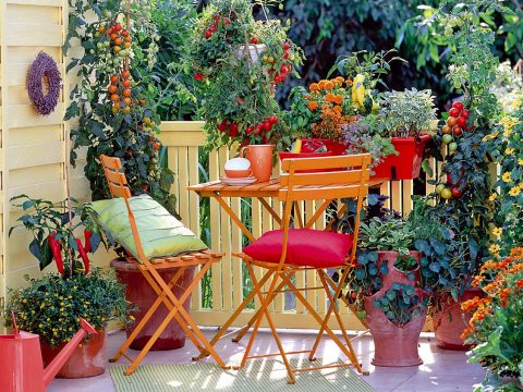 I fiori da mettere sul balcone