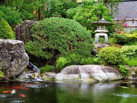 La magia del giardino giapponese: dal caos all'ordine interiore