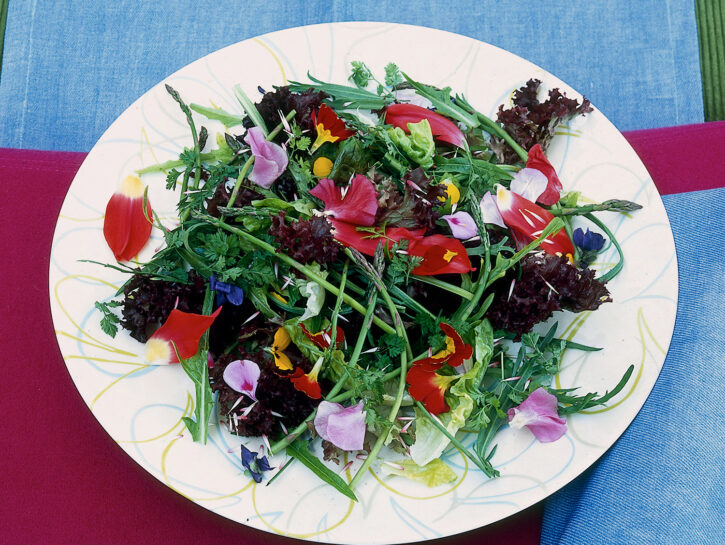 Insalata d'erbe e fiori