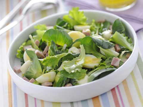 Insalatona aromatica