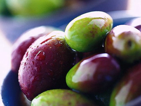 Quale olio usare in cucina