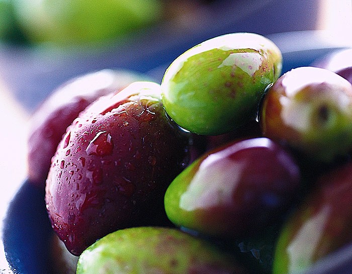 Quale olio usare in cucina