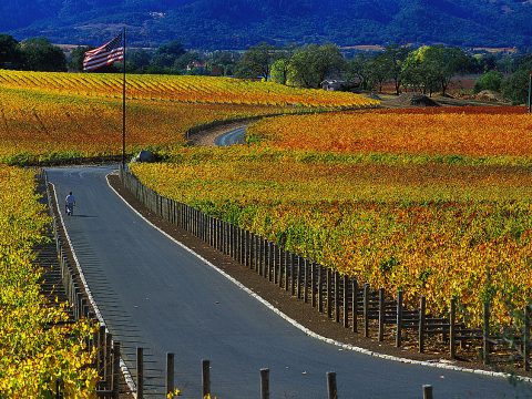 Viaggi, sulle strade della California