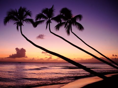 Viaggi: Barbados, isola di corallo