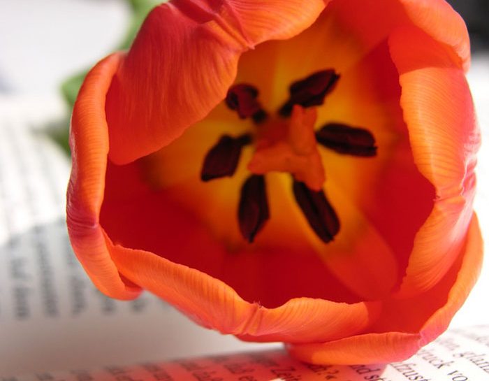 Un anno senza sesso per trovare l’amore
