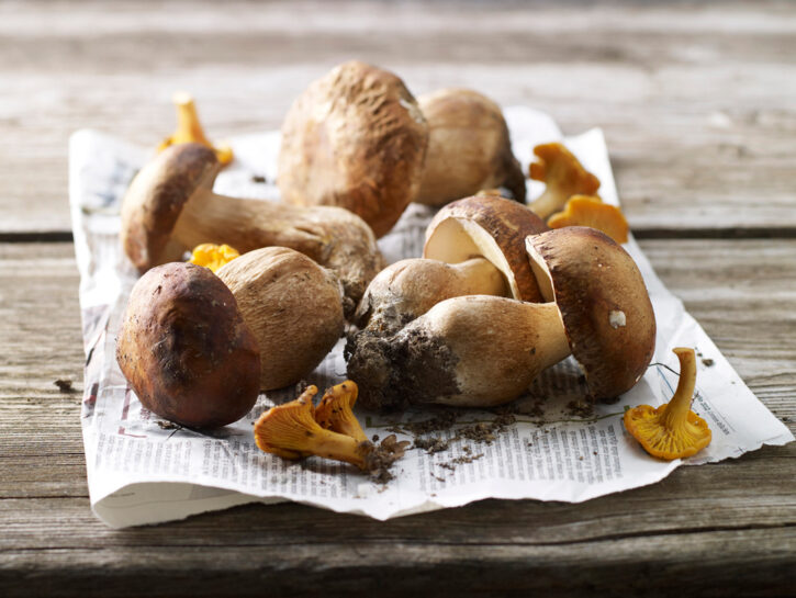 Funghi: guida alla scelta