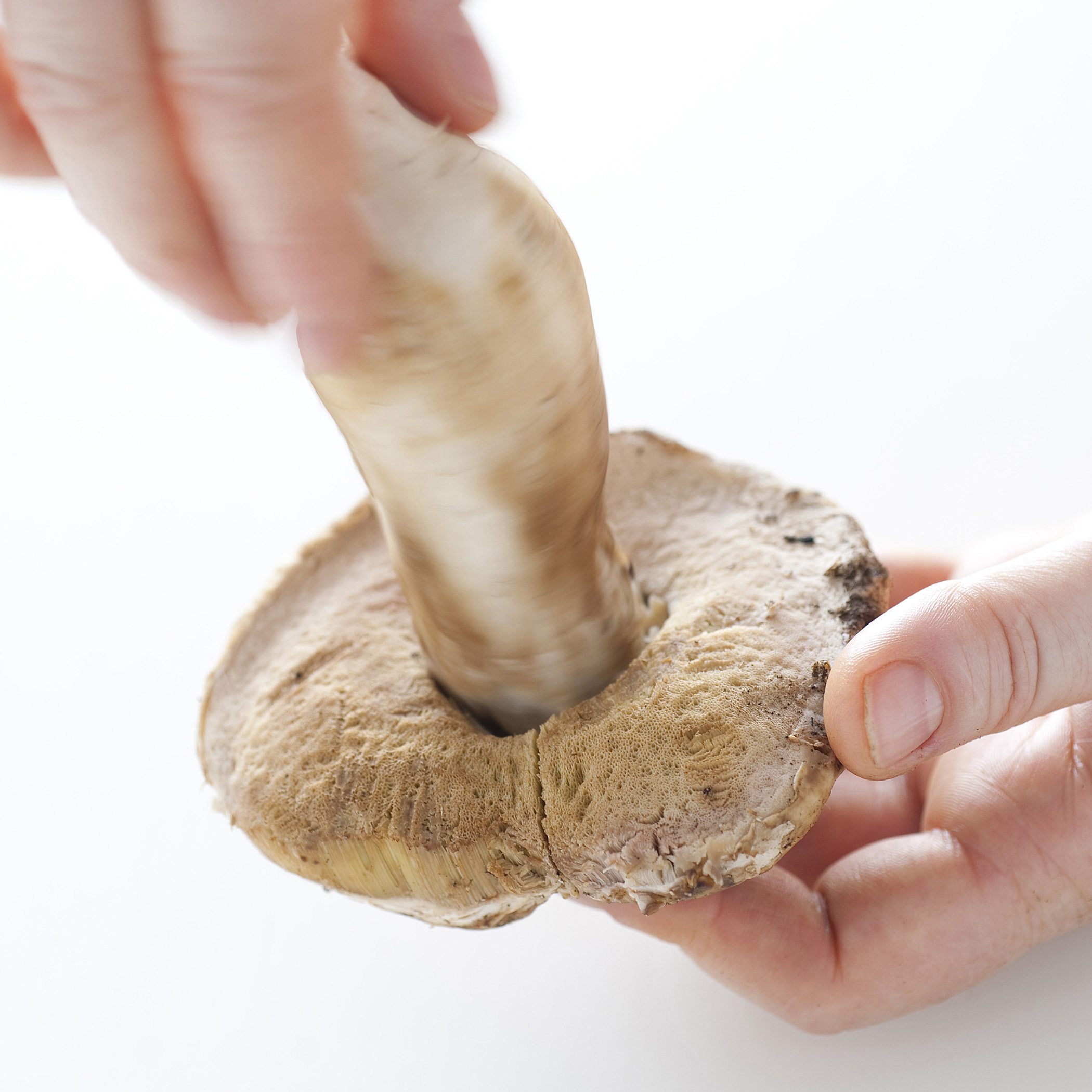 Ricetta Risotto ai funghi mantecato Donna Moderna