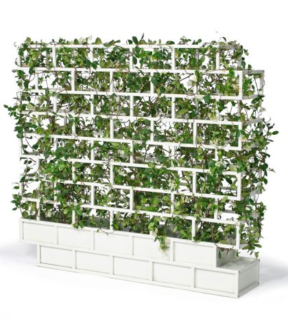 Una parete verde Puoi creare un divisorio rigoglioso seminando sul fondo di “Greenwall” o utiliz