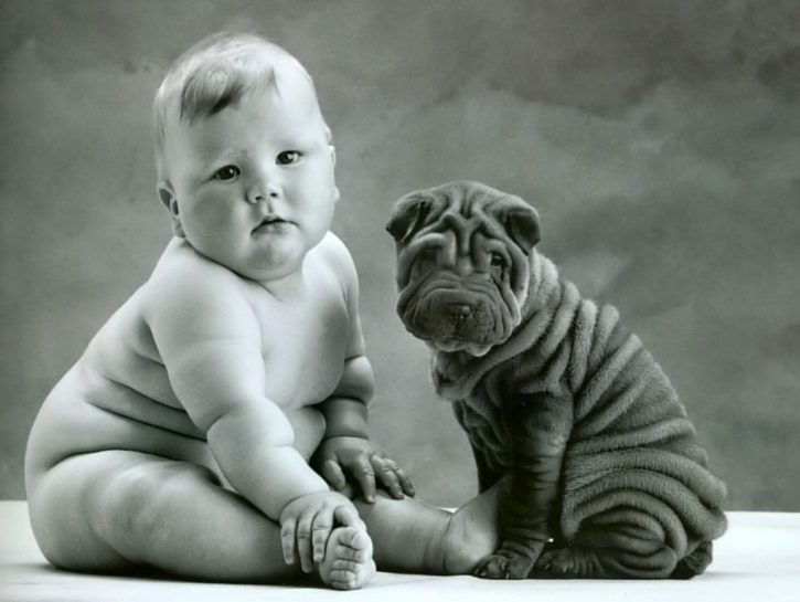 bambini-obesi-cane-sharpei-anne-geddes