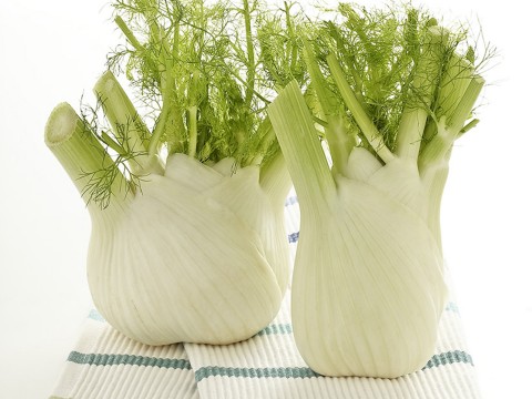Finocchi, la scelta e l'uso in cucina
