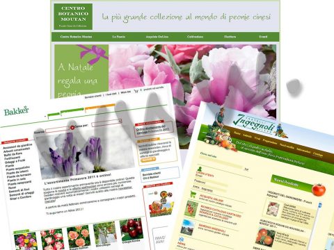 Giardinaggio sul web: ecco i siti per comprare on line