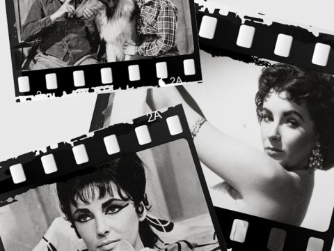 Tutti i film di Liz Taylor