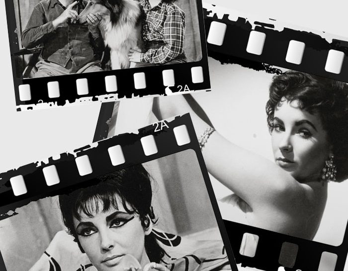 Tutti i film di Liz Taylor