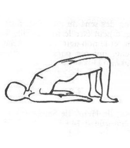 Sdraiata sul dorso, le ginocchia ripiegare per avere i piedi a terra molto vicini ai glutei; le bra