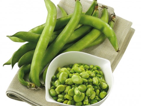Fave, la scelta e l'uso in cucina