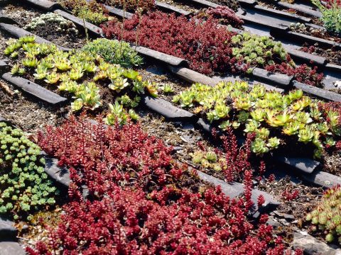 5 giardini pensili da visitare almeno una volta nella vita