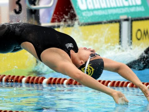 Quel che serve per il nuoto