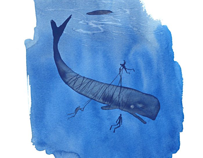 Storie del mare