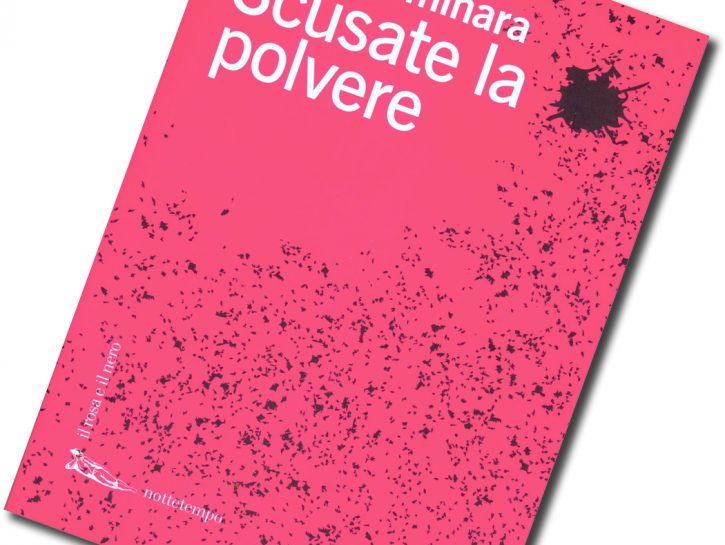 Scusate la polvere