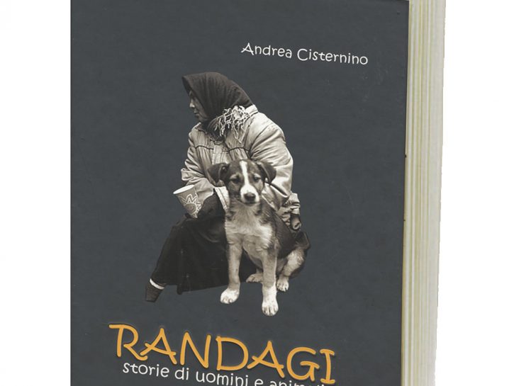 Randagi, storie di uomini e animali