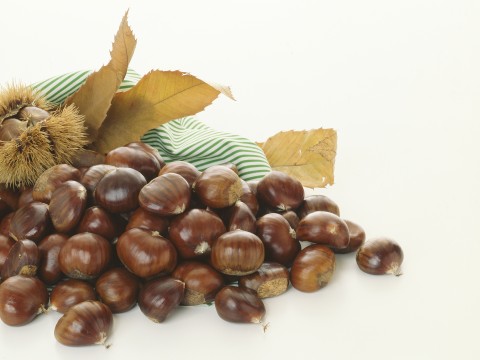Castagne al liquore