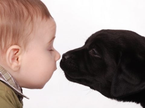 Mamma, voglio un cucciolo