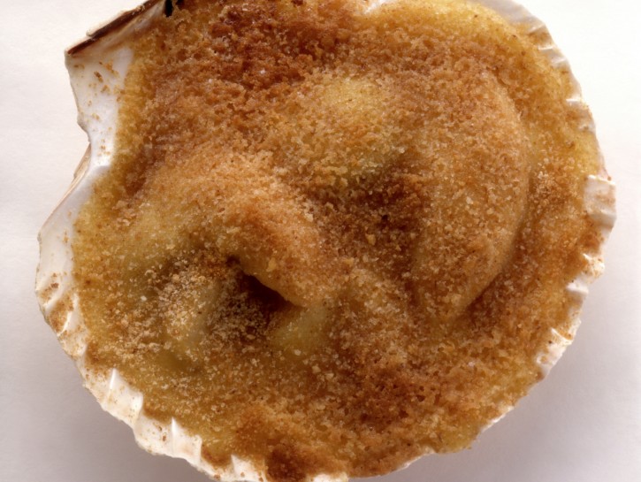 Conchiglie Saint-Jacques gratinate