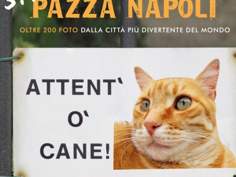 Strapazza Napoli: foto da ridere dalla città più divertente