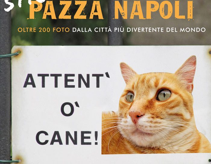Strapazza Napoli: foto da ridere dalla città più divertente