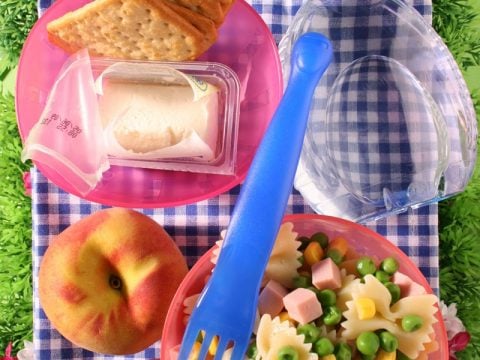 Un picnic con i bambini