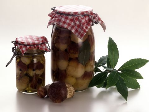 Funghi sott'aceto