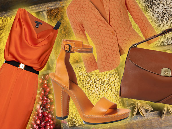 Ricette di moda: i colori delle spezie