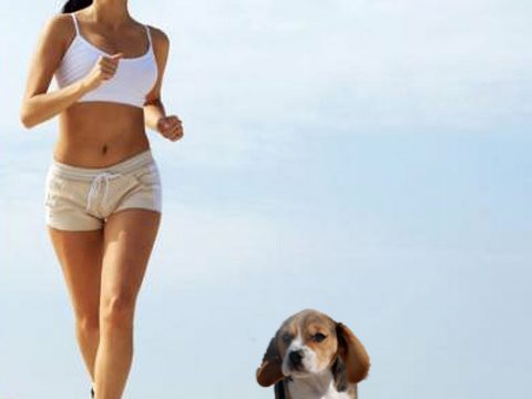 Running con il cane? Lui gioca, tu ti alleni